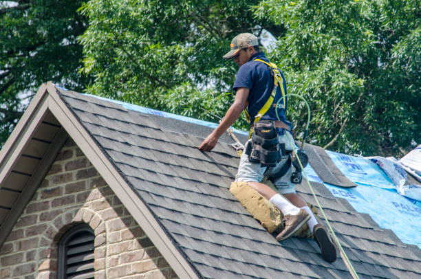 Quick and Trustworthy Emergency Roof Repair Services in Cheraw, SC